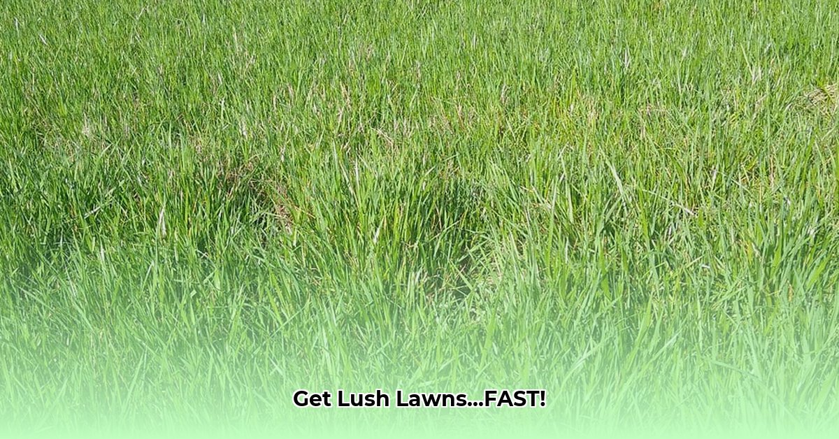 ryegrass-at-tractor-supply
